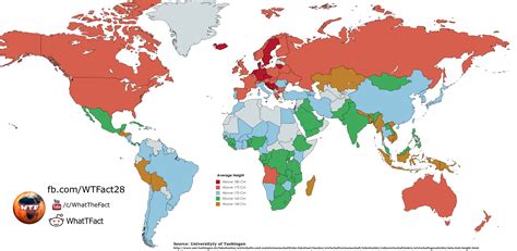 Average human height by country